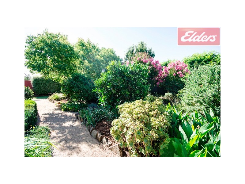 346 Cheyenne Drive, Lavington NSW 2641