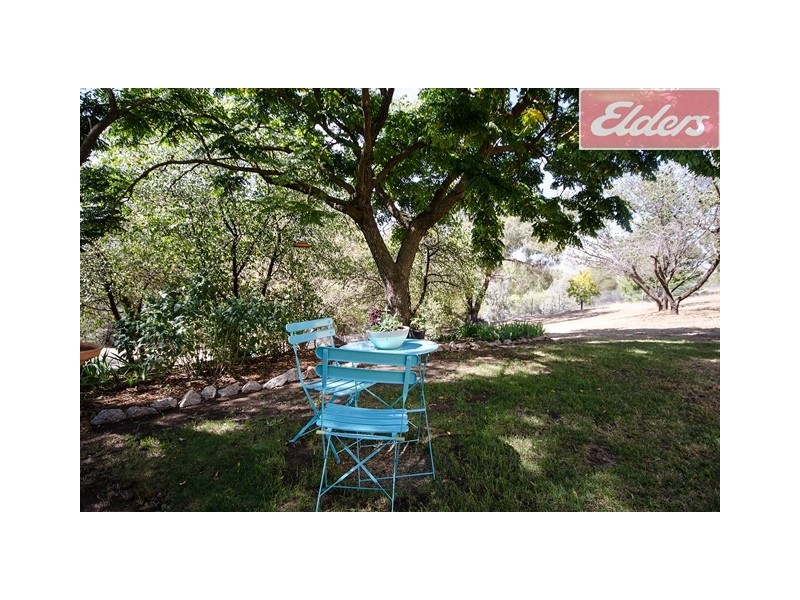 12 Barton Drive, Baranduda VIC 3691