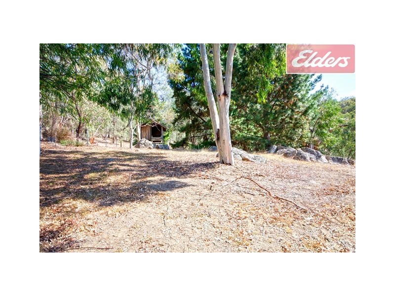 12 Barton Drive, Baranduda VIC 3691