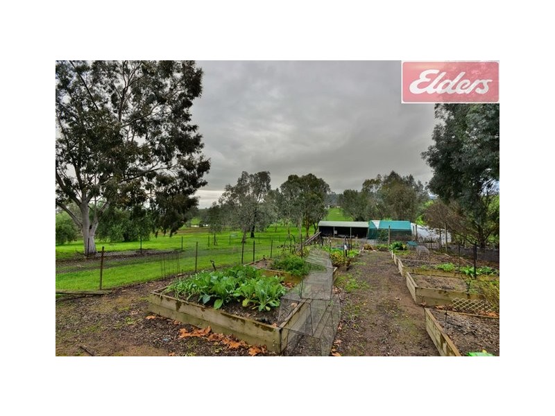 953 Lake Road, Bethanga VIC 3691