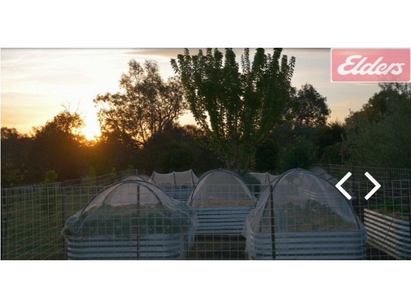 12 Hillandale Court, Bonegilla VIC 3691