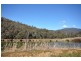 Lot 3 – 217 Simmonds Creek Road, Tawonga South VIC 3698