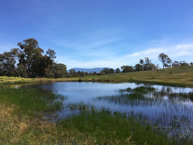 0 Better Route Road and Mine Battery Road, Rhymney VIC 3377