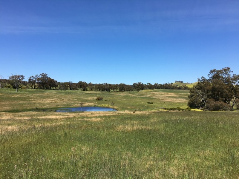 0 Better Route Road and Mine Battery Road, Rhymney VIC 3377