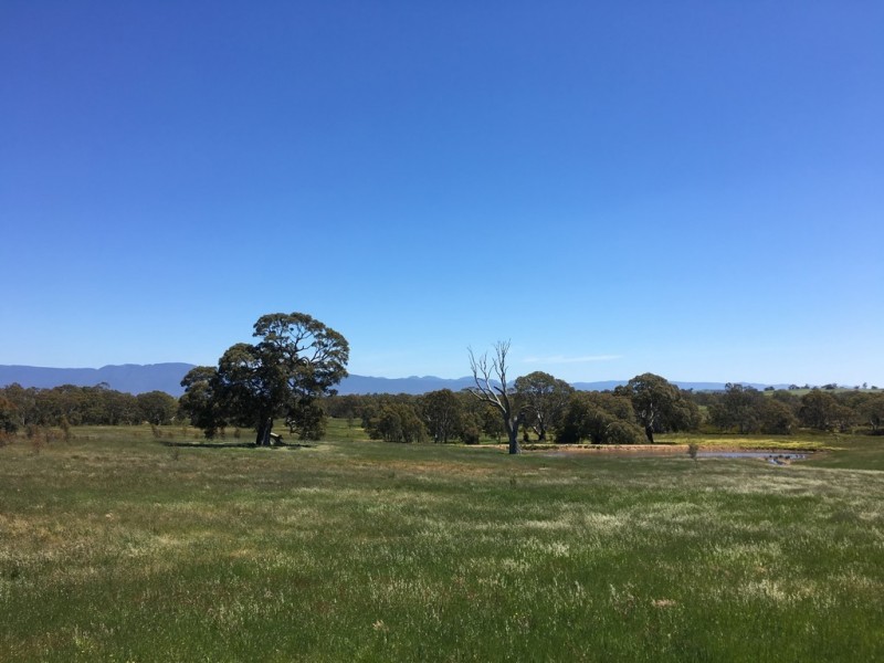 0 Better Route Road and Mine Battery Road, Rhymney VIC 3377