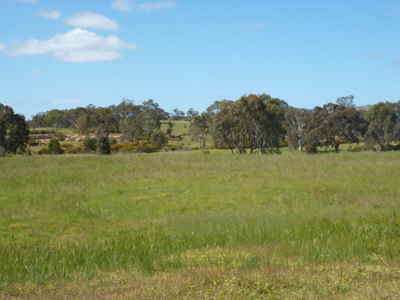 0 Better Route Road and Mine Battery Road, Rhymney VIC 3377