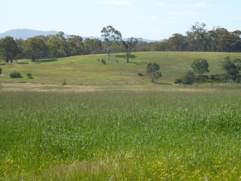 0 Better Route Road and Mine Battery Road, Rhymney VIC 3377