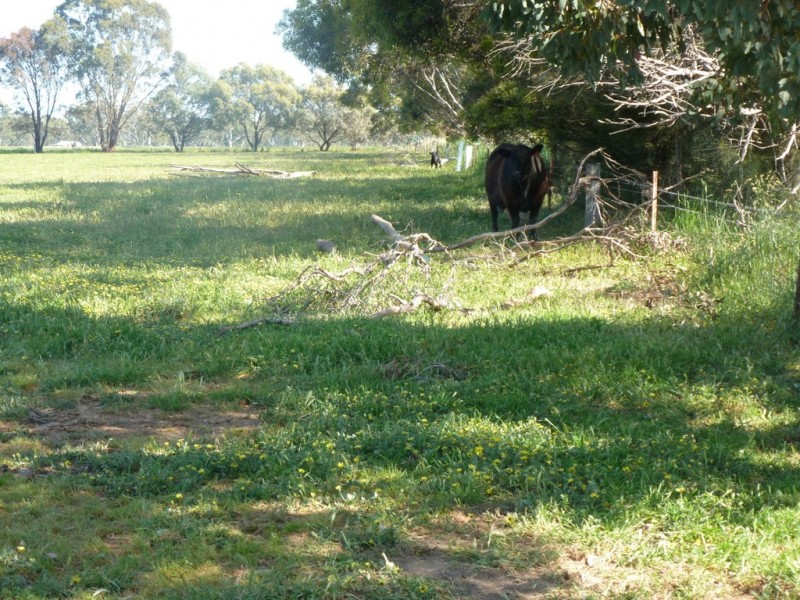 1426 Western Highway, Great Western VIC 3374