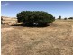 lot 0 Bulgana Road, Bulgana VIC 3377
