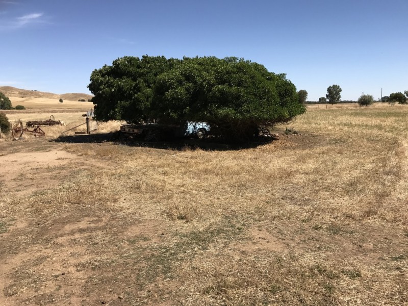 lot 0 Bulgana Road, Bulgana VIC 3377