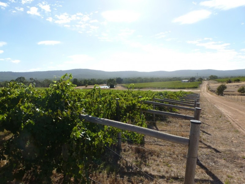 105 Rifle Butts Road, Landsborough VIC 3384