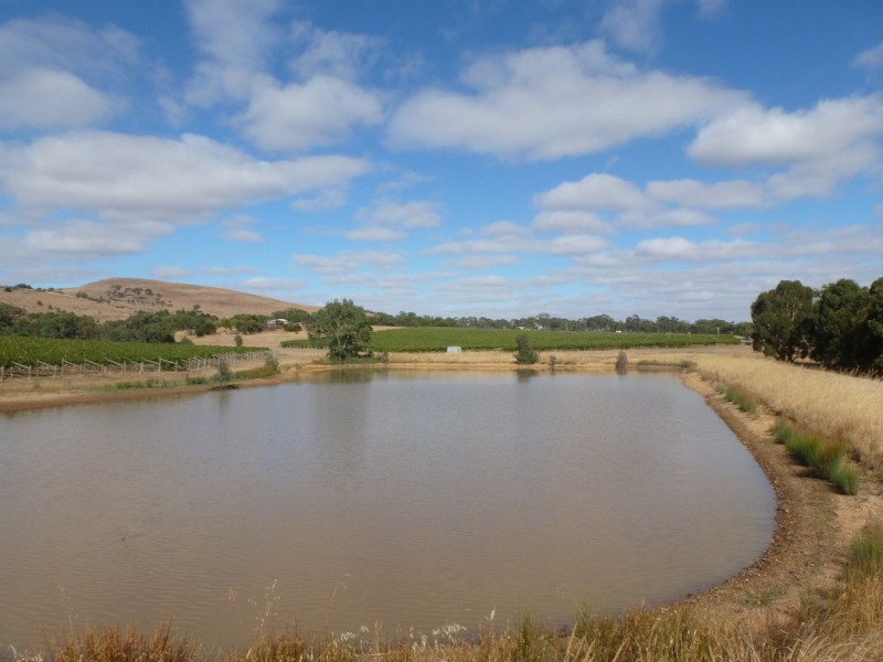 105 Rifle Butts Road, Landsborough VIC 3384