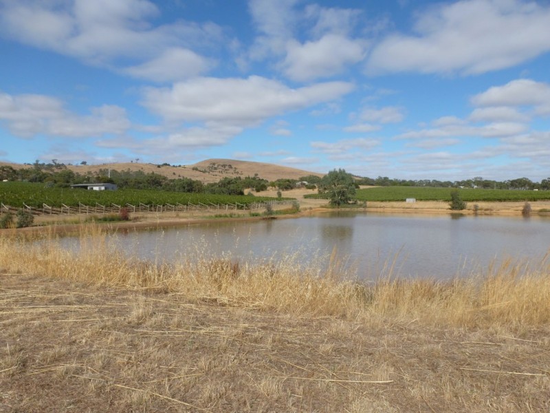 105 Rifle Butts Road, Landsborough VIC 3384