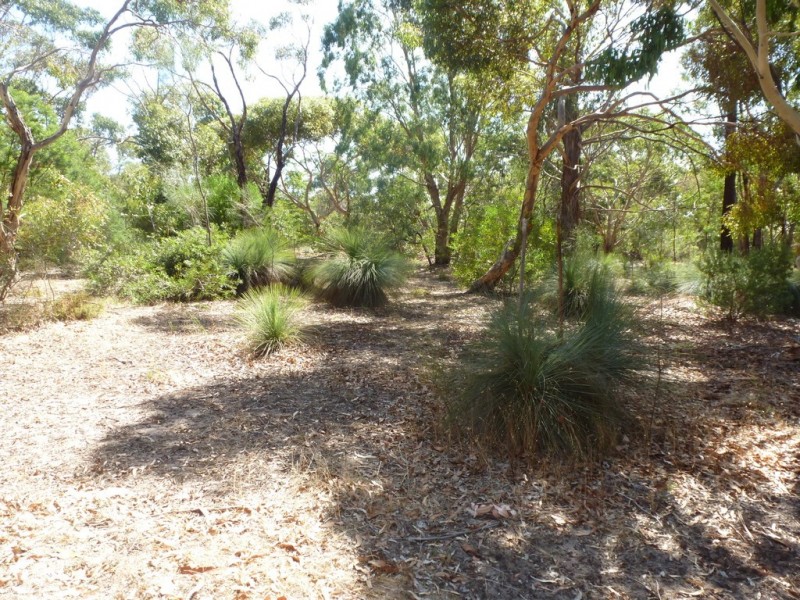 61 Wildflower Drive, Pomonal VIC 3381
