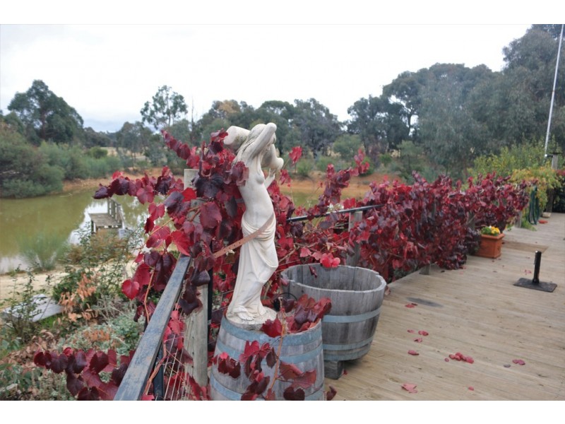 15 Borbridge Lane, Moonambel VIC 3478