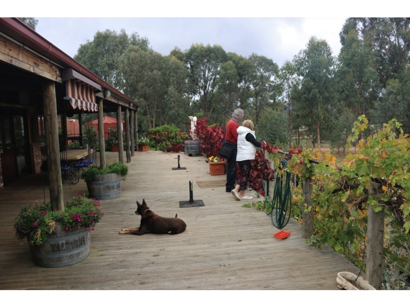 15 Borbridge Lane, Moonambel VIC 3478