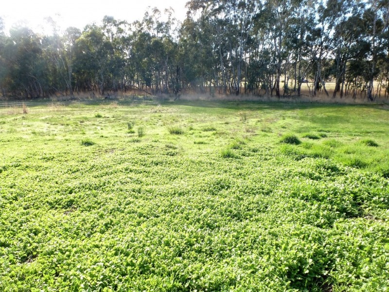 0 School Street, Moyston VIC 3377