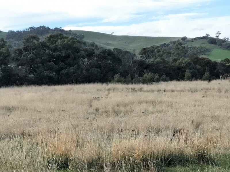 Lot 41 Ararat – Halls Gap Road, Cathcart VIC 3377