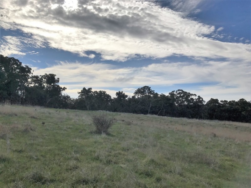 Lot 41 Ararat – Halls Gap Road, Cathcart VIC 3377