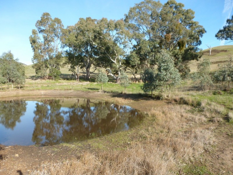 0 Green Street, Elmhurst VIC 3469