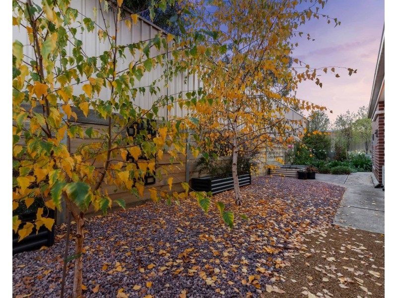 1/4 Beveridge Street, Ararat VIC 3377