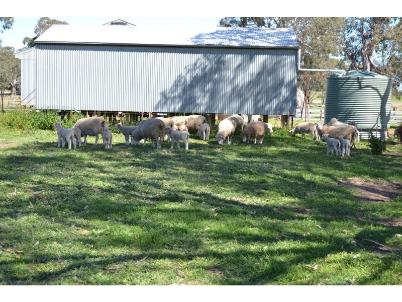 0 Polland Road, Moyston VIC 3377