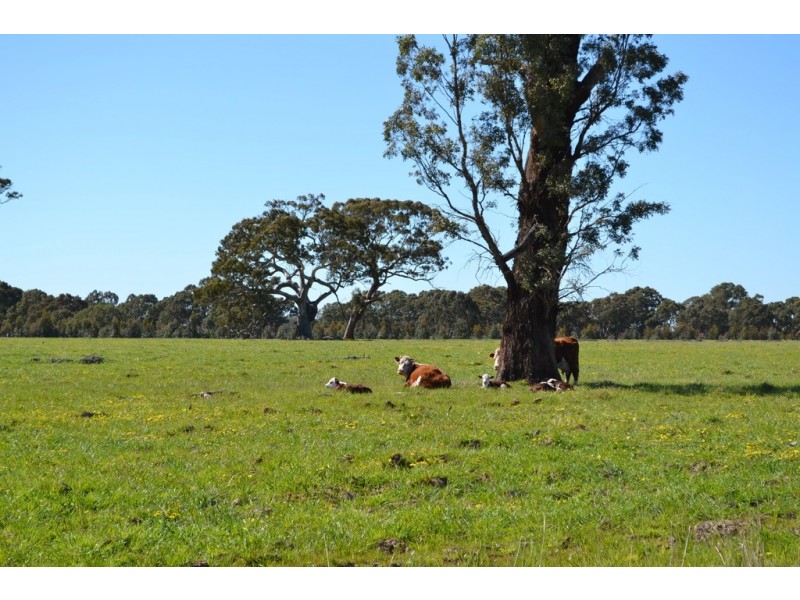 0 Peacocks Road, Buangor VIC 3375