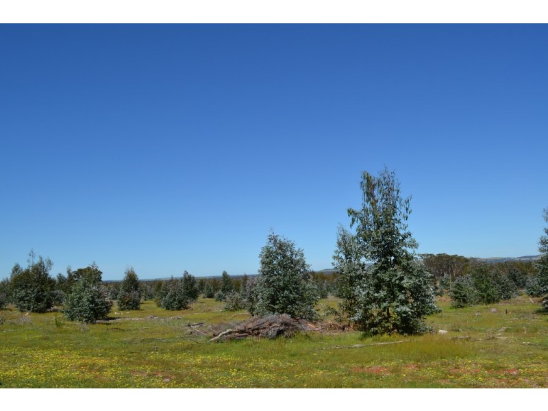 0 Peacocks Road, Buangor VIC 3375