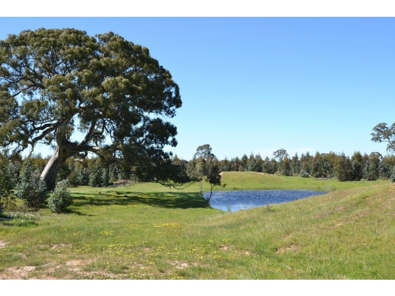0 Peacocks Road, Buangor VIC 3375