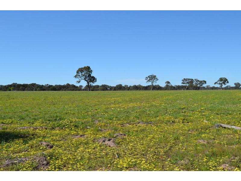 0 Peacocks Road, Buangor VIC 3375