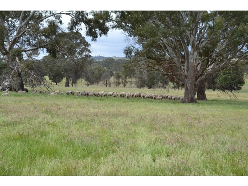 0 Rocky Point Road, Moyston VIC 3377