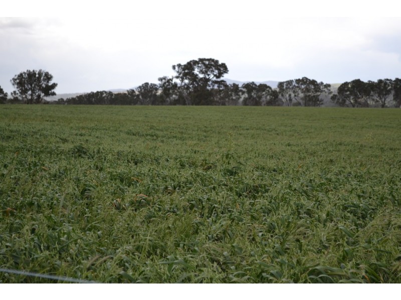 0 Rocky Point Road, Moyston VIC 3377