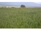 0 Rocky Point Road, Moyston VIC 3377