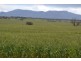 0 Rocky Point Road, Moyston VIC 3377