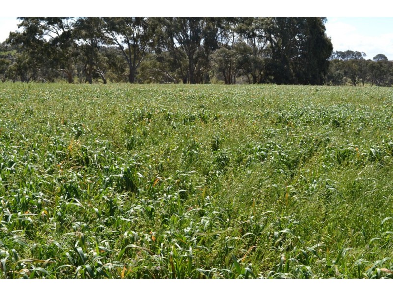 0 Rocky Point Road, Moyston VIC 3377