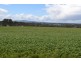 0 Rocky Point Road, Moyston VIC 3377
