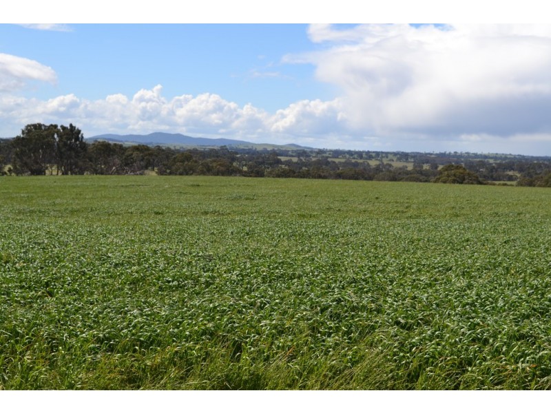0 Rocky Point Road, Moyston VIC 3377
