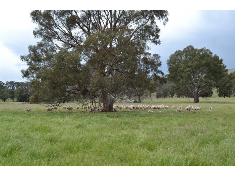 0 Rocky Point Road, Moyston VIC 3377