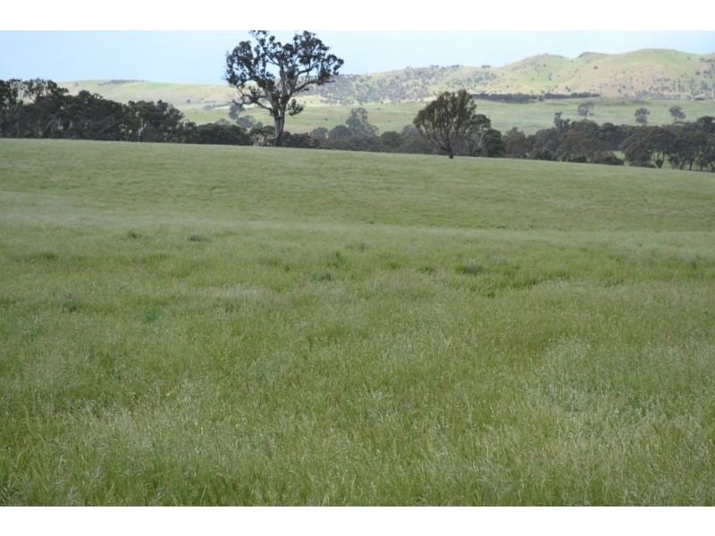 0 Rocky Point Road, Moyston VIC 3377