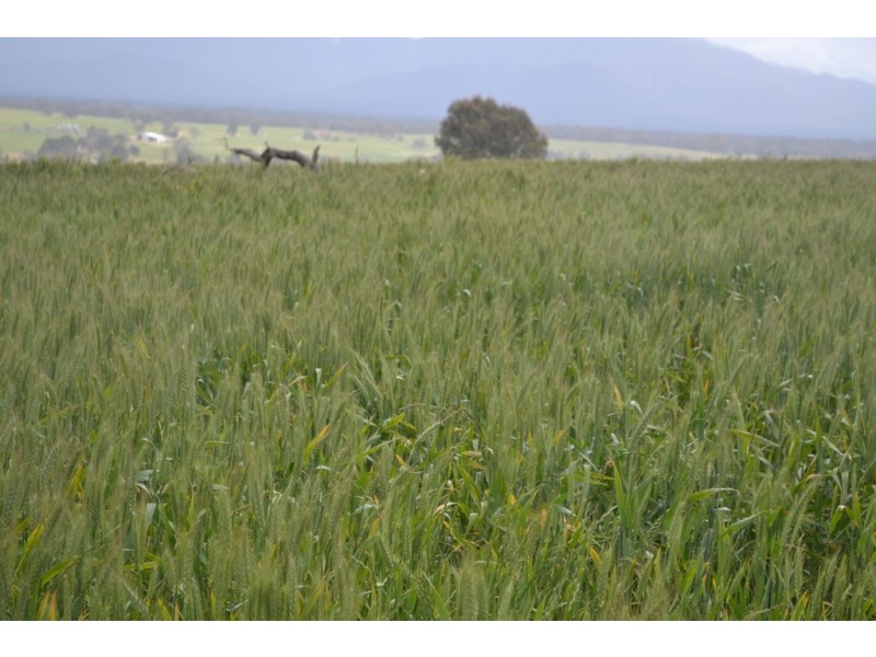 0 Rocky Point Road, Moyston VIC 3377