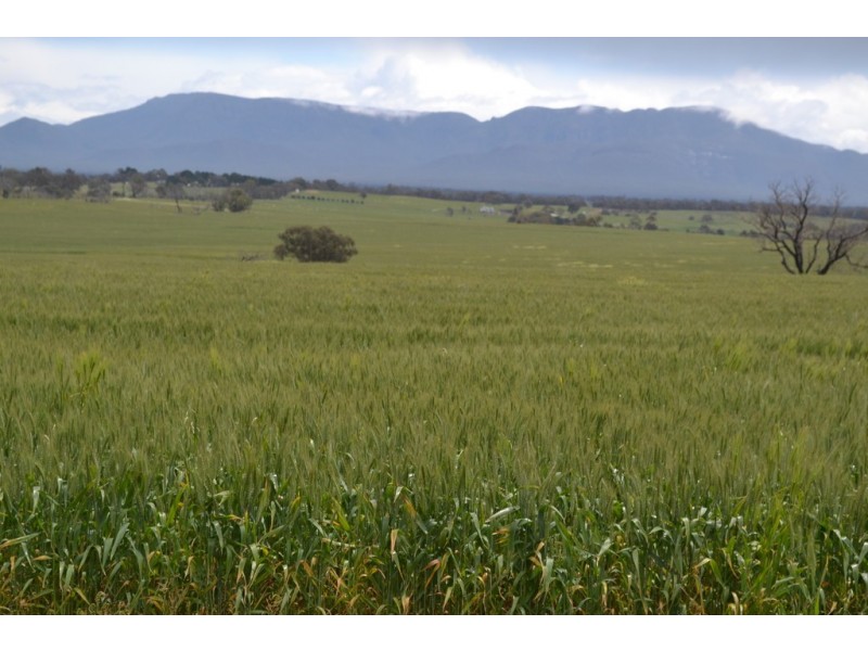 0 Rocky Point Road, Moyston VIC 3377