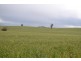 0 Rocky Point Road, Moyston VIC 3377