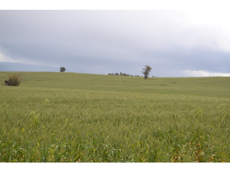 0 Rocky Point Road, Moyston VIC 3377