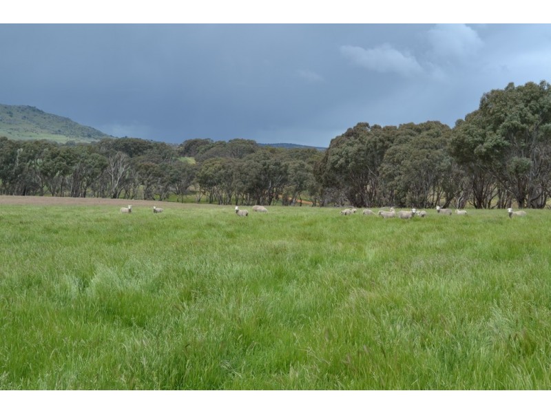 0 Rocky Point Road, Moyston VIC 3377