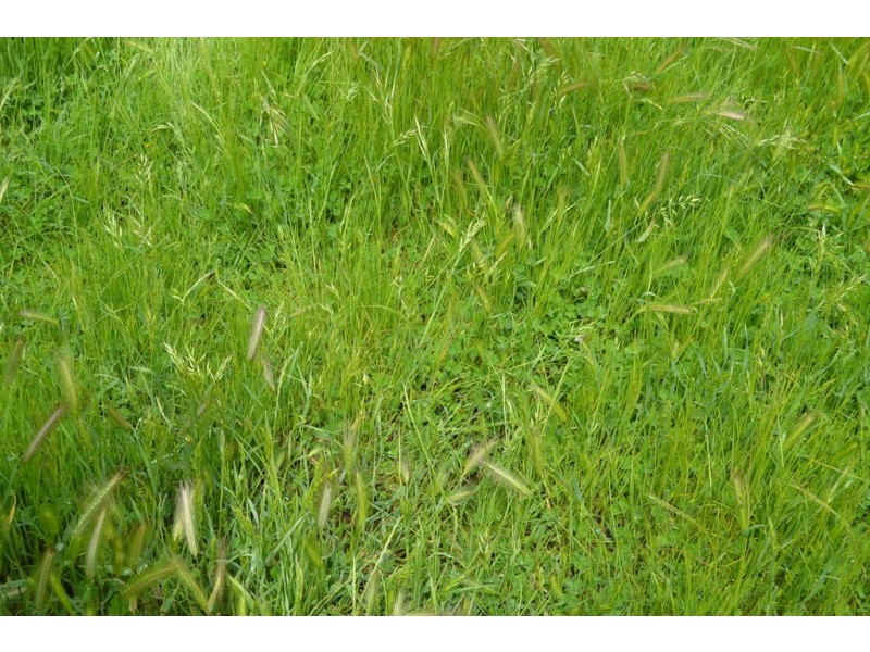0 Rocky Point Road, Moyston VIC 3377
