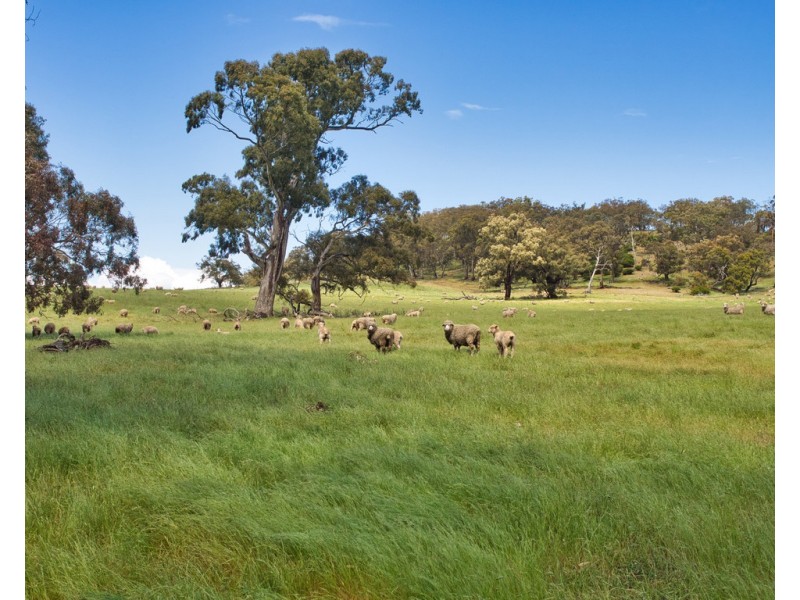 0 Rhymney Road, Norval VIC 3377