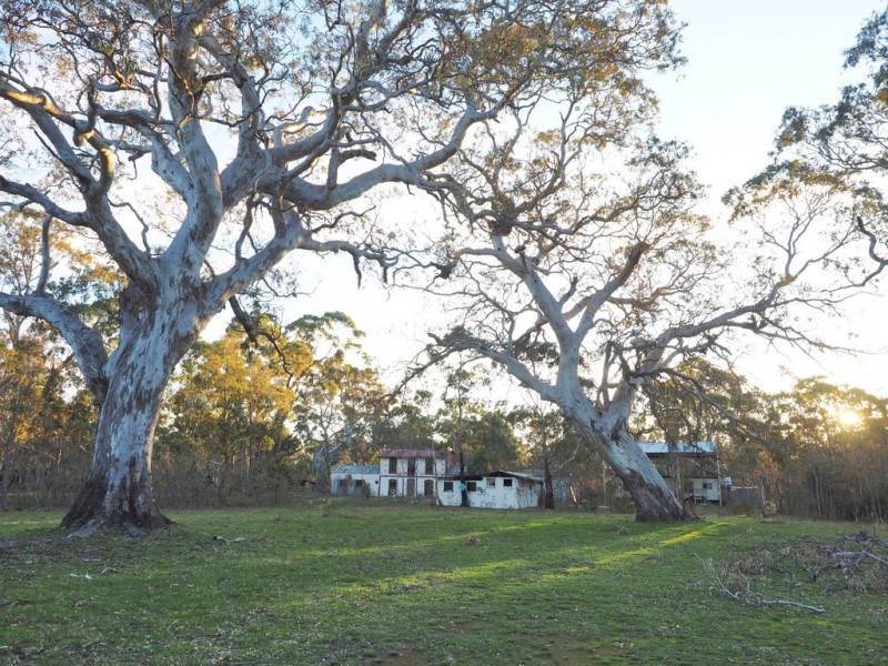0 Lynchs Crossing Road, Bornes Hill VIC 3379
