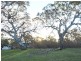 0 Lynchs Crossing Road, Bornes Hill VIC 3379