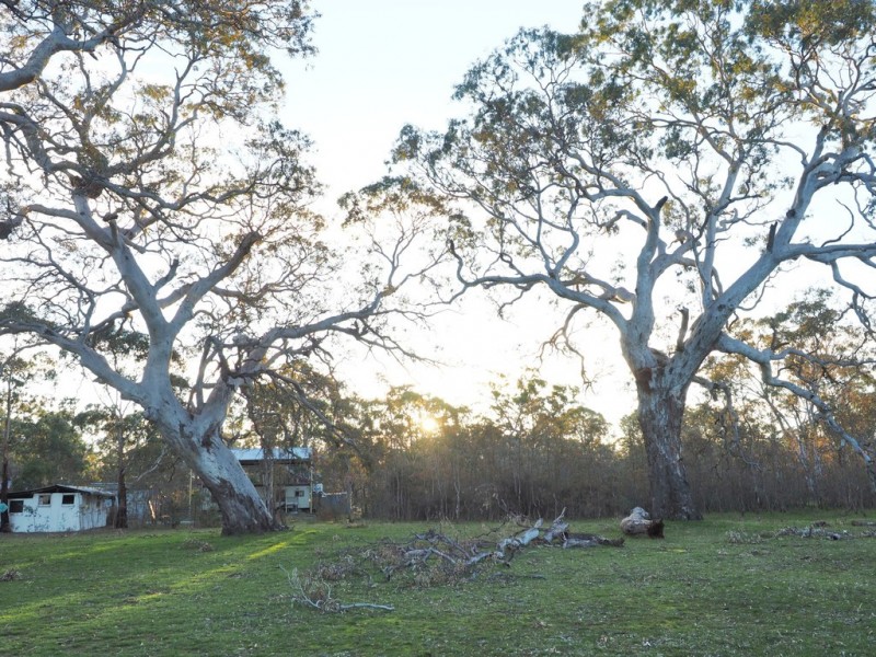 0 Lynchs Crossing Road, Bornes Hill VIC 3379