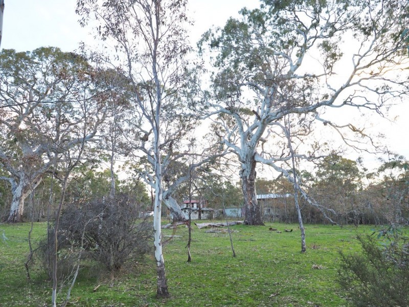 0 Lynchs Crossing Road, Bornes Hill VIC 3379